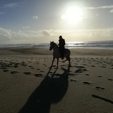 Casa de Férias Casa Da Paraventa
