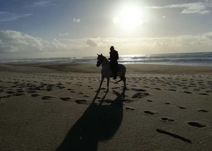 Дом отдыха Casa Da Paraventa